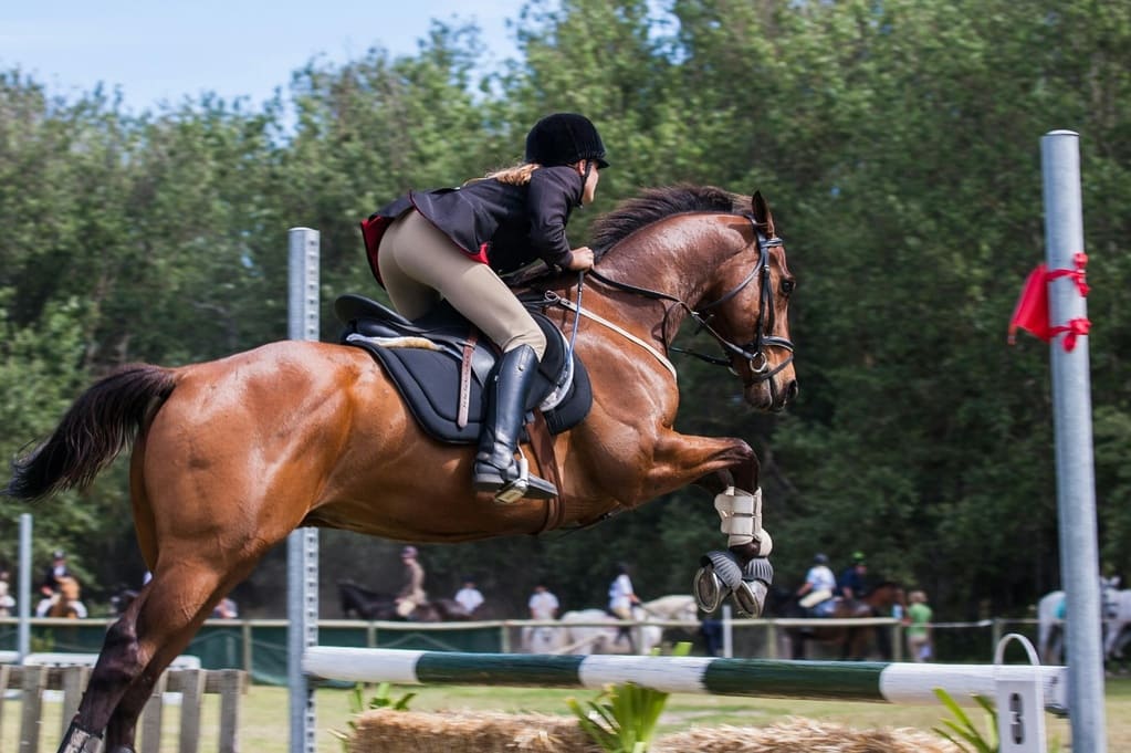 10 conseils pour bien choisir vos bottes d’équitation