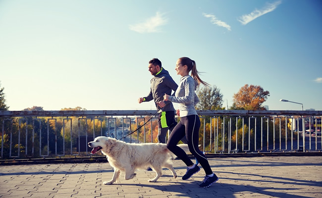 10 façons de faire du sport avec votre chien