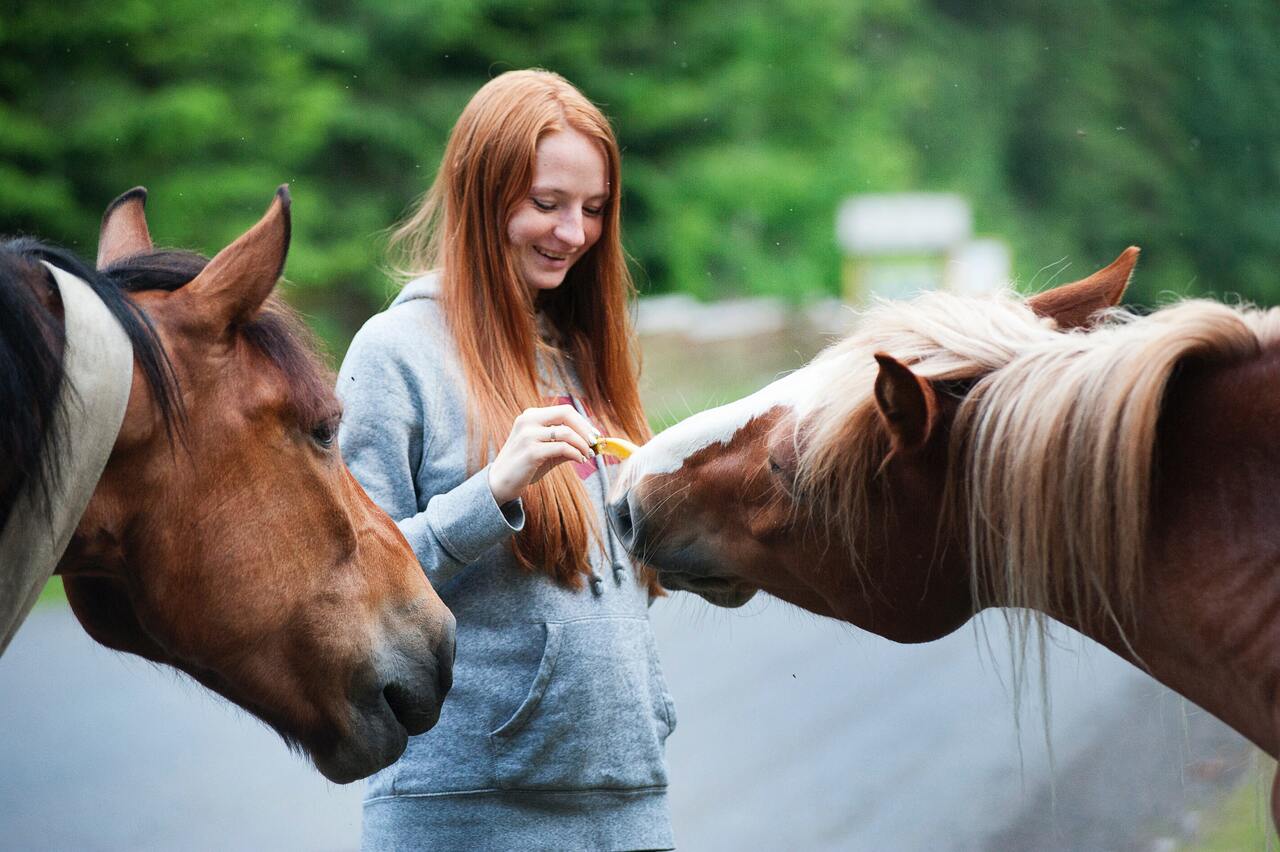 Equicoaching pour les dirigeants : est-ce vraiment efficace ?